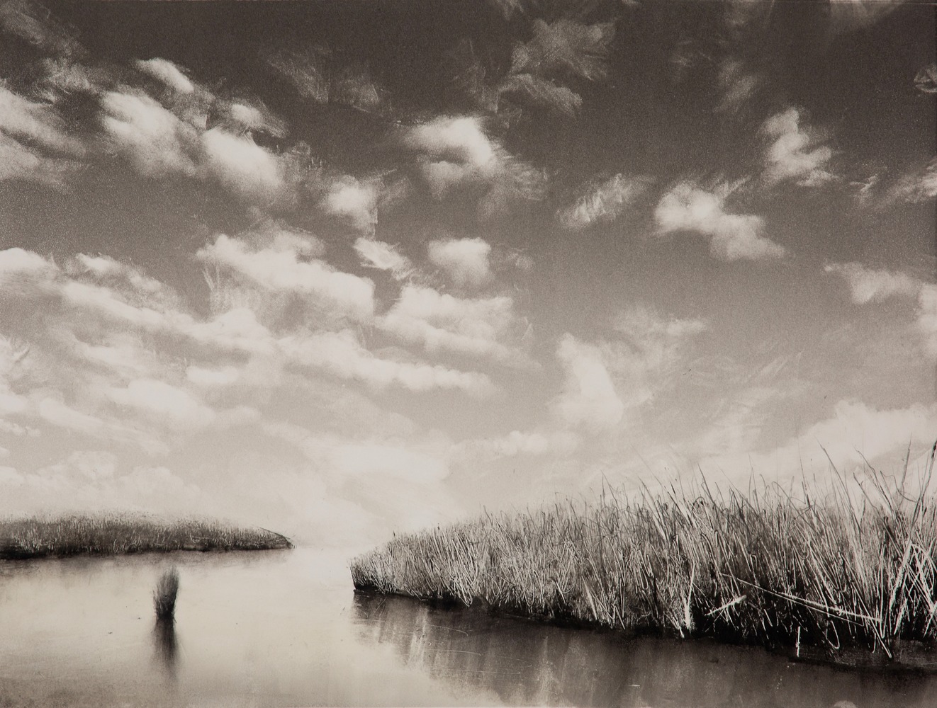 Wetlands With Mackerel Sky Wetlands With Mackerel Sky