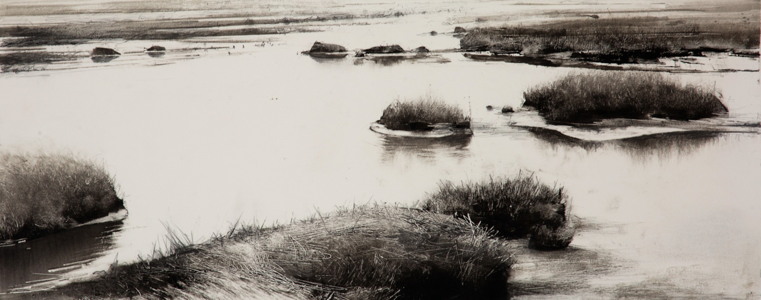 Willapa Wetlands Willapa Wetlands